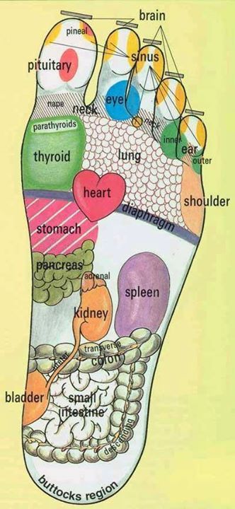 Feet Reflexology Massage Chart 