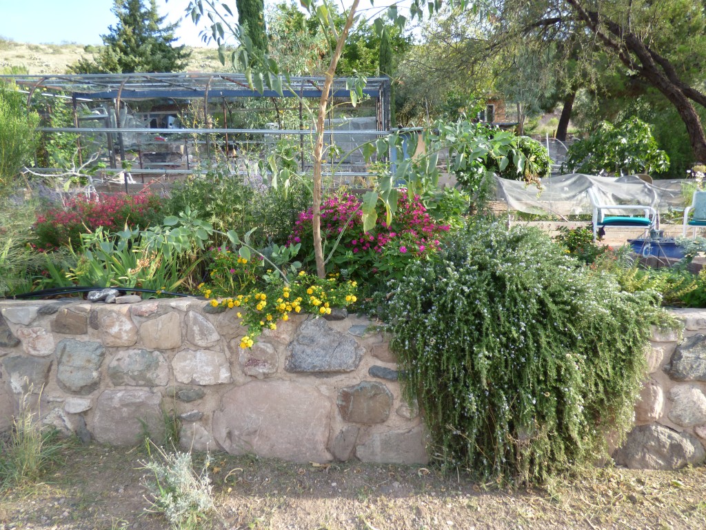 Arizona Garden