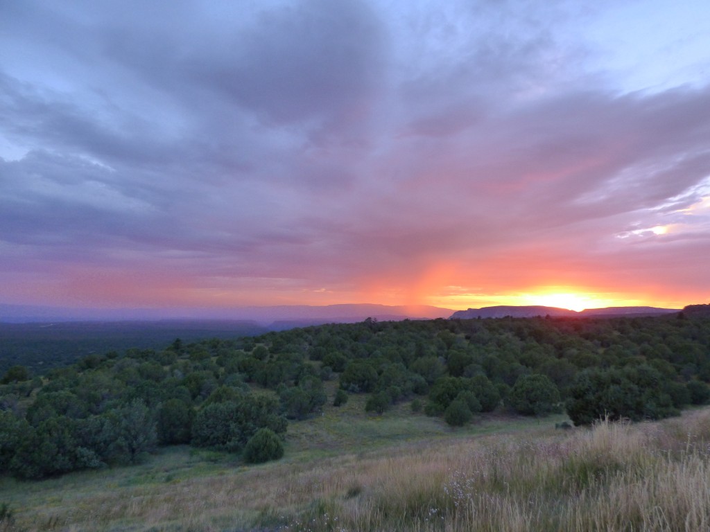 Arizona Sunset