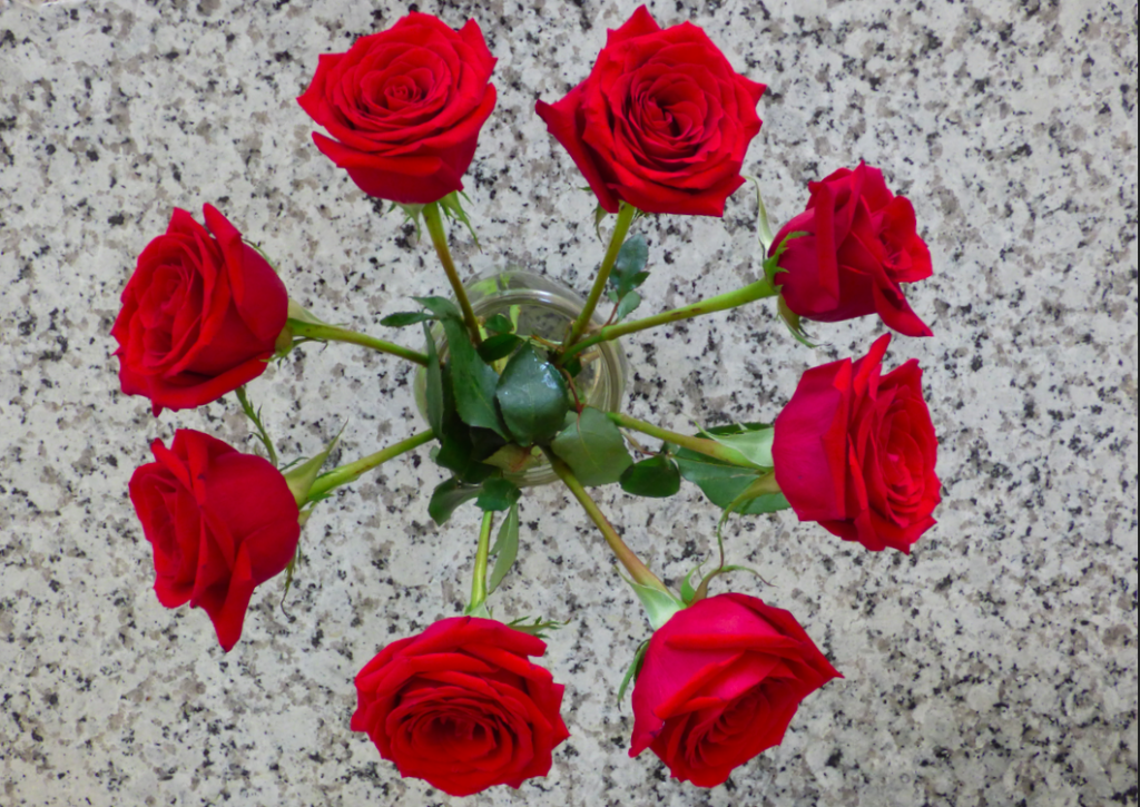 Red Rose Mandala