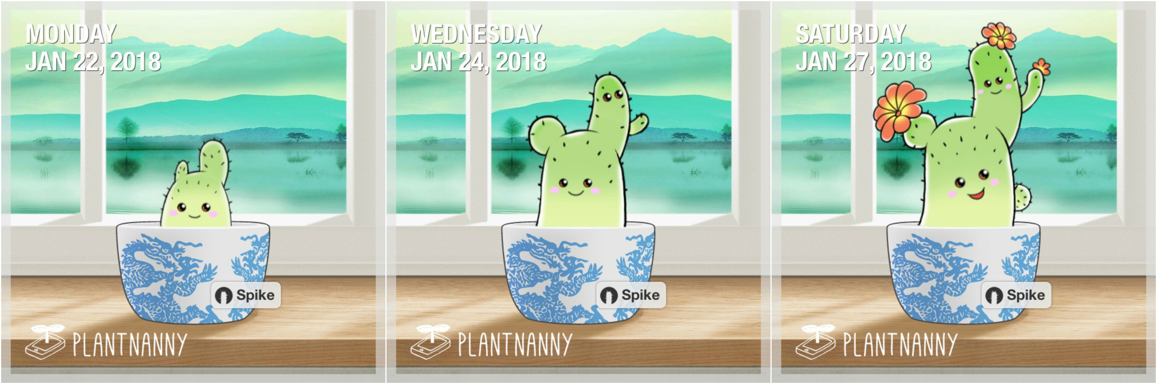 Plant nanny how to move plant to garden