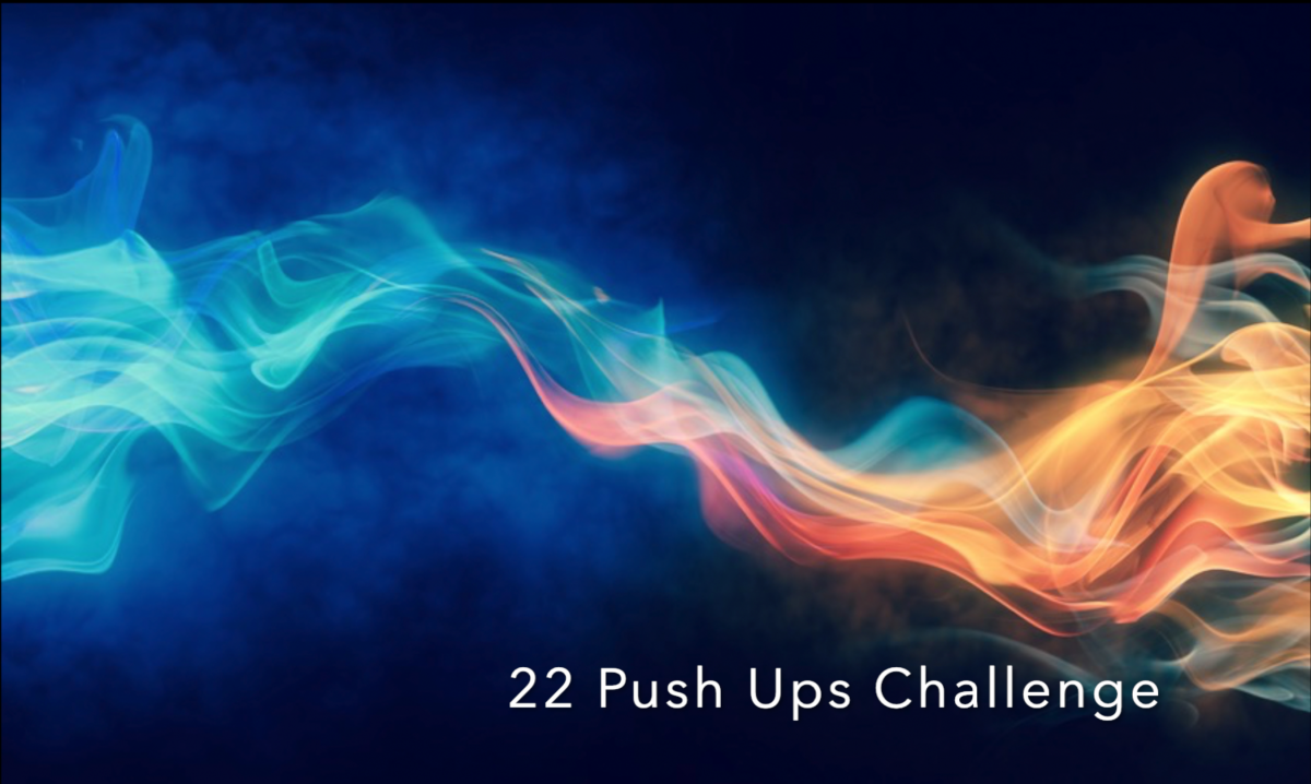 22 Push Ups in 22 Days