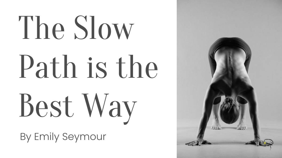 The Slow Path is the Best Way by Emily Seymour